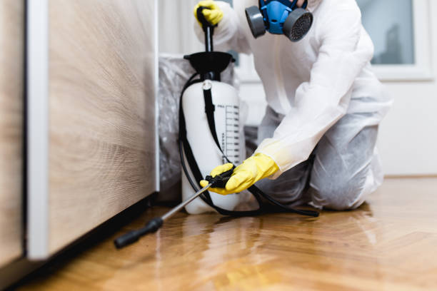 Best Affordable Pest Control Services  in Starbuck, MN
