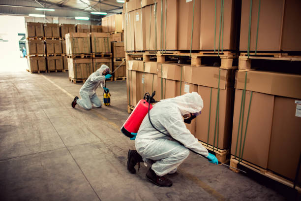 Pest Prevention Services in Starbuck, MN