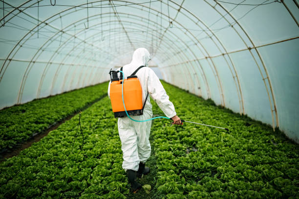 Best Pest Control Cost  in Starbuck, MN