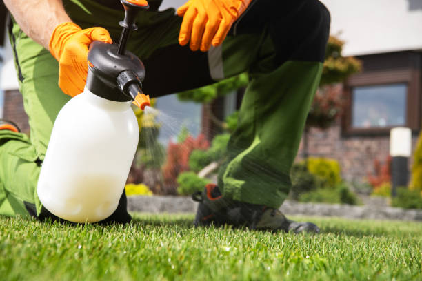 Best Insect Control  in Starbuck, MN