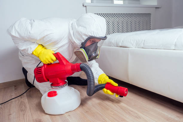 Best Local Pest Control Services  in Starbuck, MN