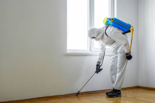 Trusted Starbuck, MN Pest Control Experts