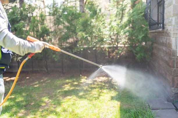 Best Pest Control Near Me  in Starbuck, MN