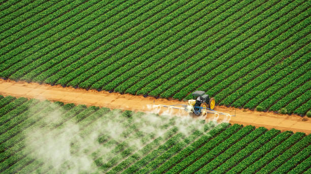 Pest Control Cost in Starbuck, MN