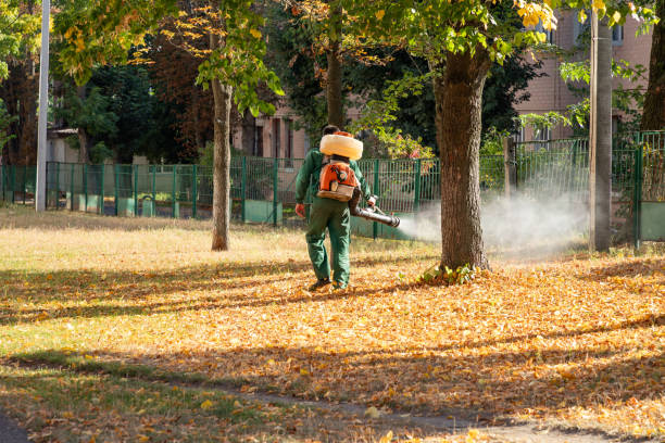 Best Wildlife Control Services  in Starbuck, MN