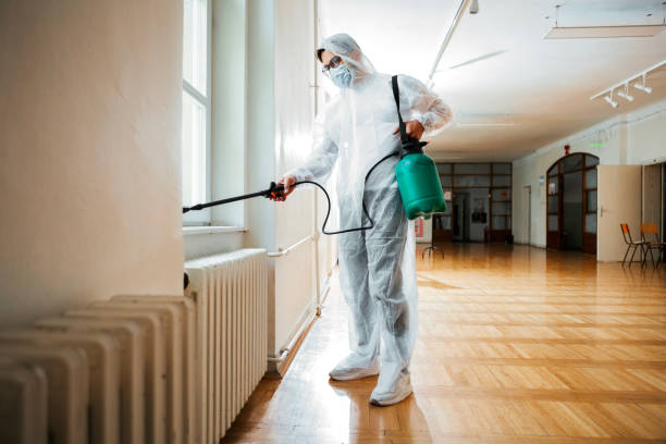 Best Pest Removal Services  in Starbuck, MN